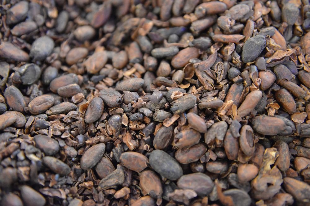 Beans & nuts. Free public domain CC0 photo
