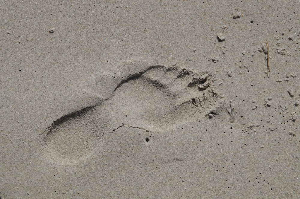 Footprints on beach sand. Free public domain CC0 image.