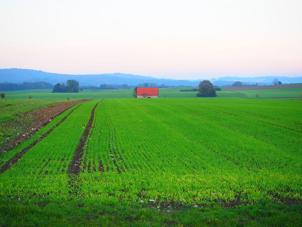 Vast agricultural land. Free public domain CC0 image. 