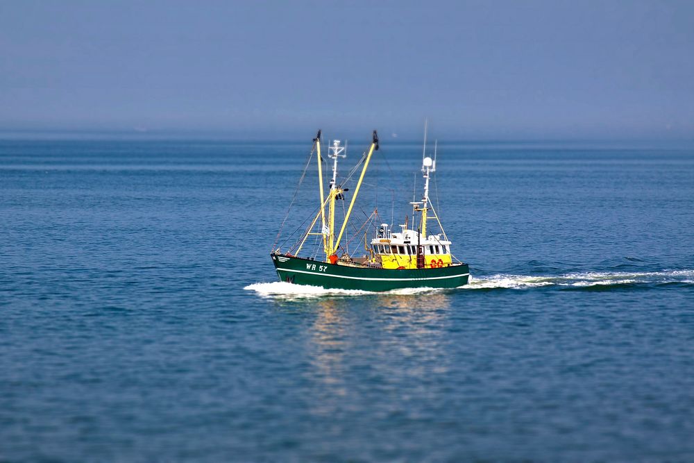 Green fishing boat sailing. Free public domain CC0 photo.