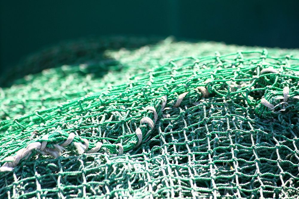 Fishing net close up. Free public domain CC0 photo.