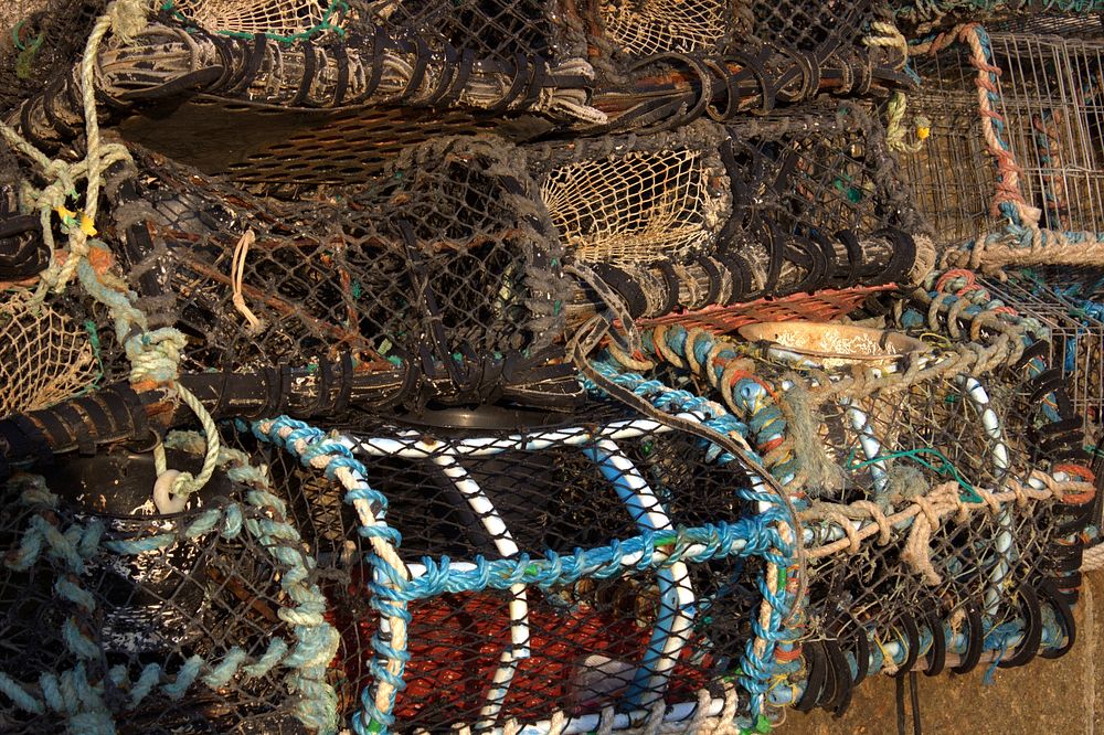Fishing net cage. Free public domain CC0 photo.