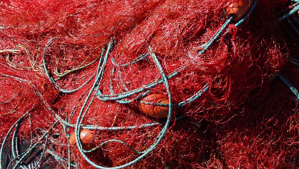 Fishing net close up. Free public domain CC0 photo.