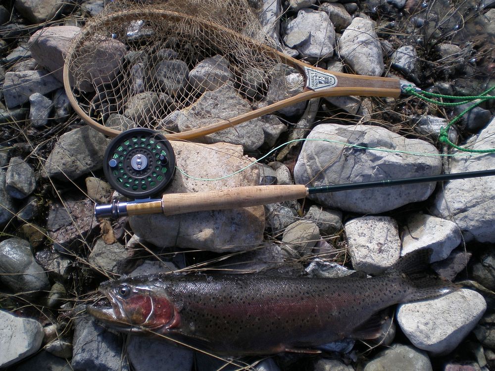 Fishing equipments close up. Free public domain CC0 photo.