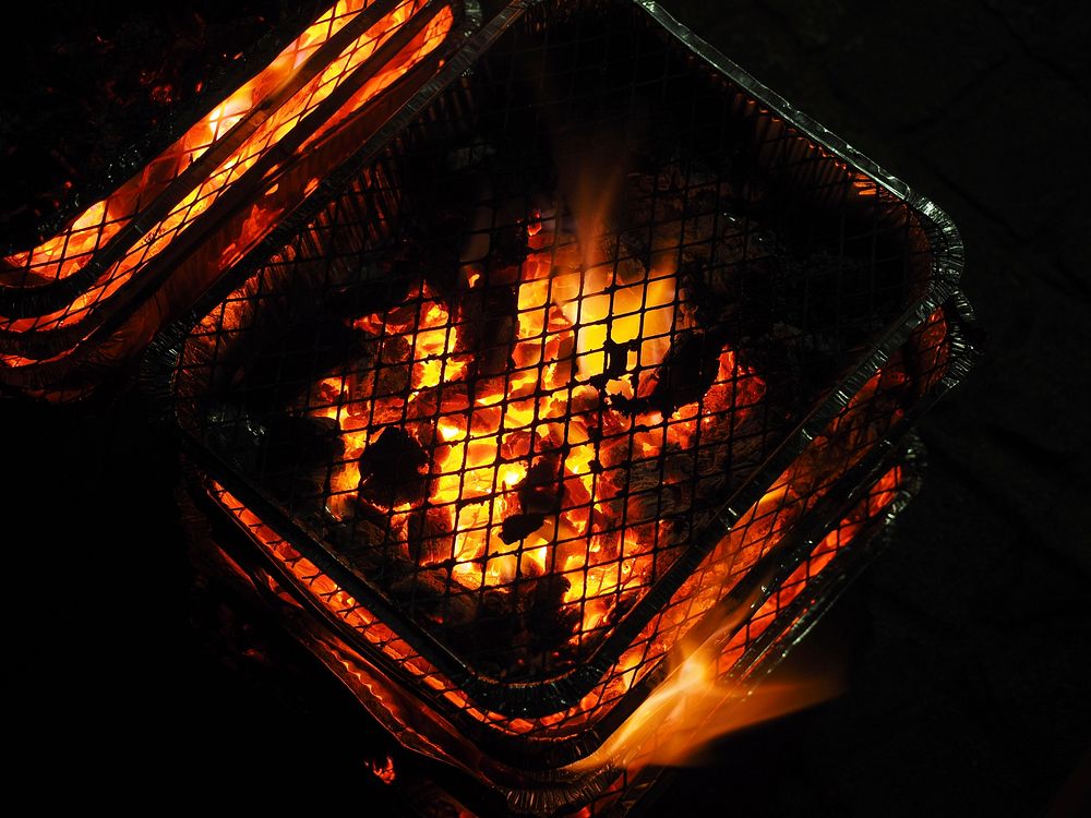 Grilling fire. Free public domain CC0 photo.