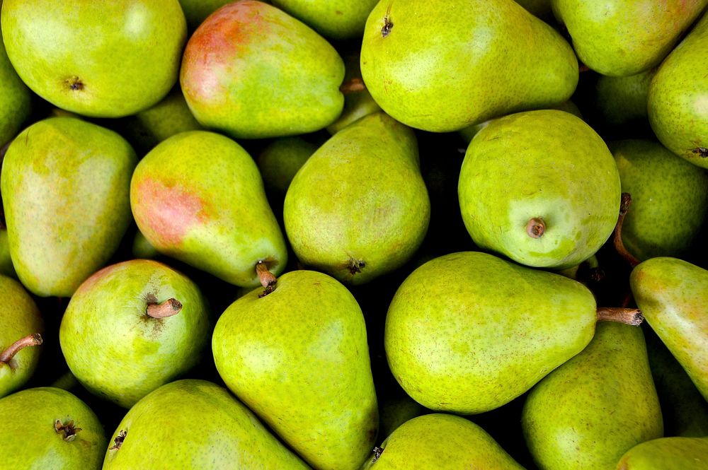 Closeup on pile of green pears. Free public domain CC0 photo. 