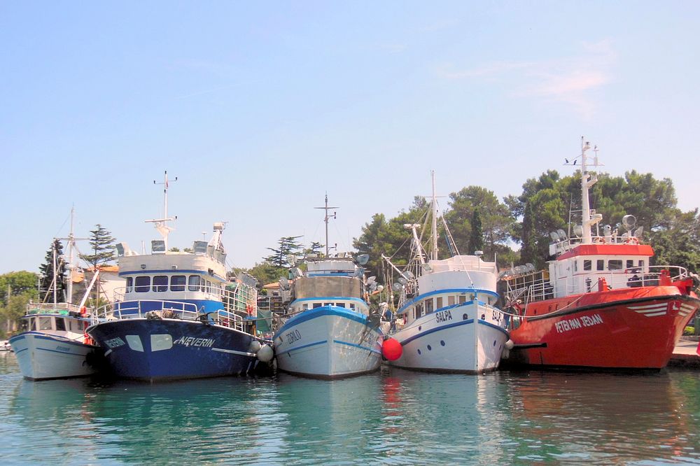 Boats mooring. Free public domain CC0 photo.