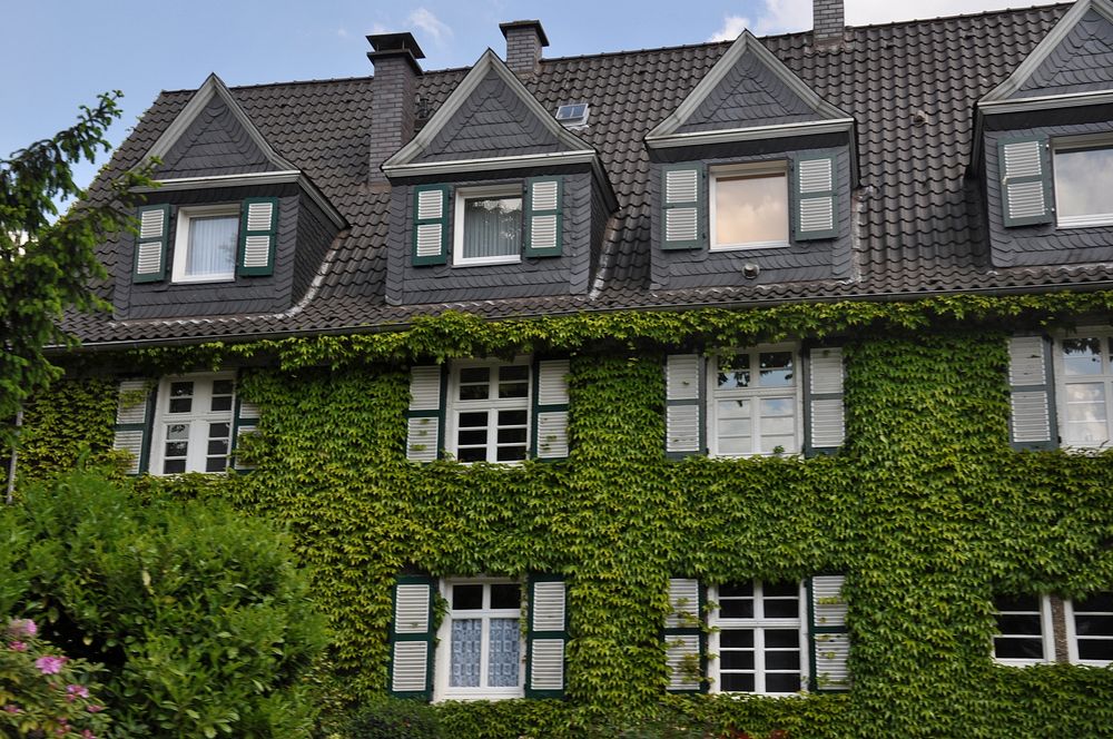 Windows in a house. Free public domain CC0 image