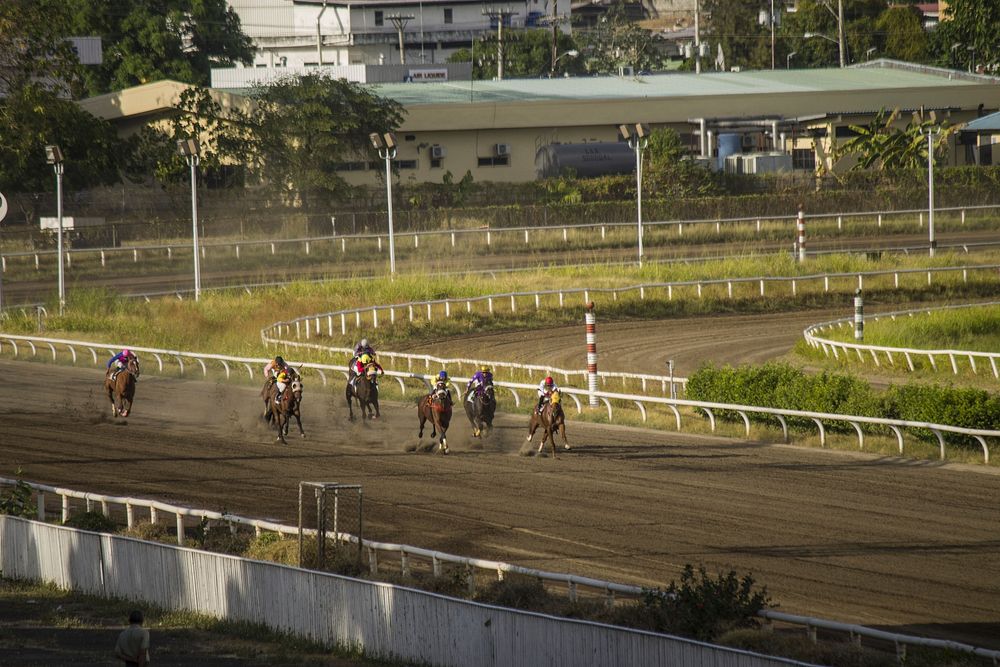 Horse racing track. Free public domain CC0 photo.