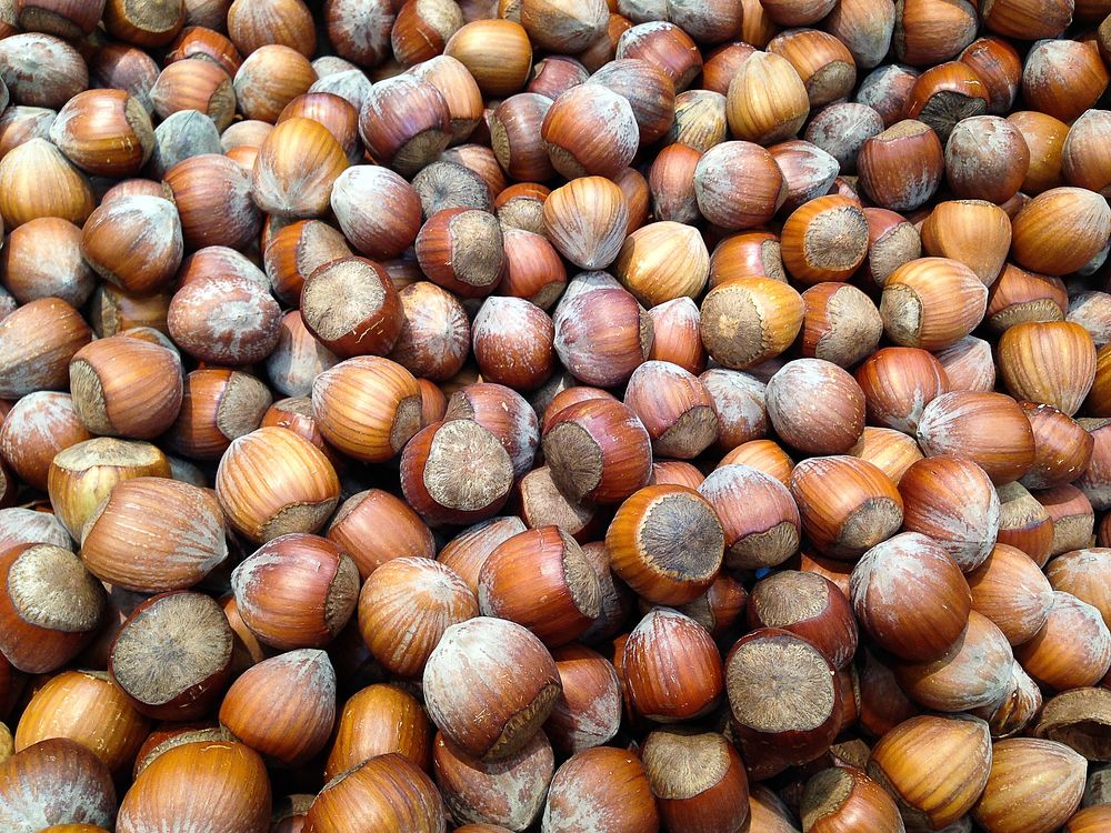 Stack of hazelnuts. Free public domain CC0 photo.