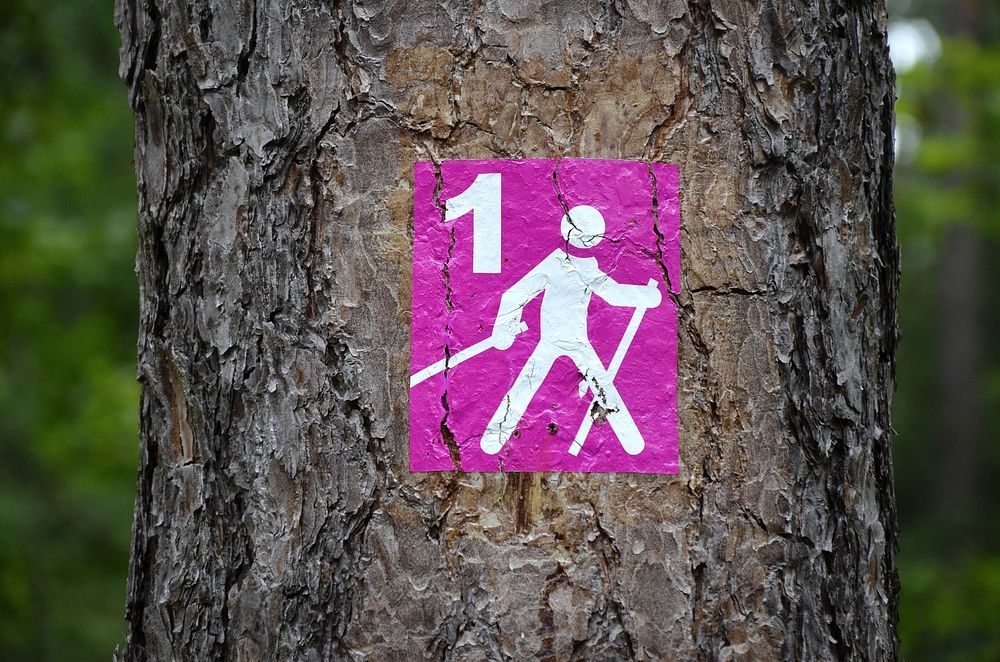 Hiking sign on a tree trunk. Free public domain CC0 photo.