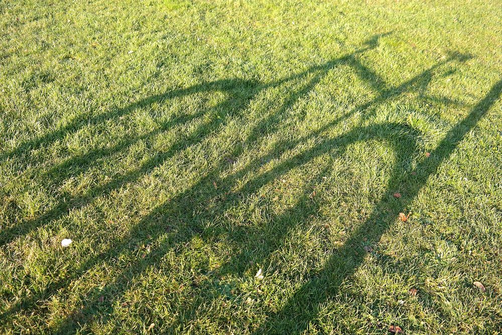 Bike shadow on green grass. Free public domain CC0 photo.