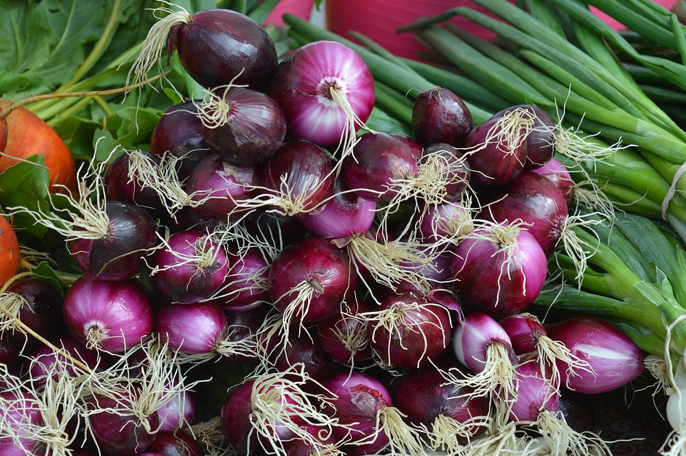 Red onions. Free public domain CC0 image