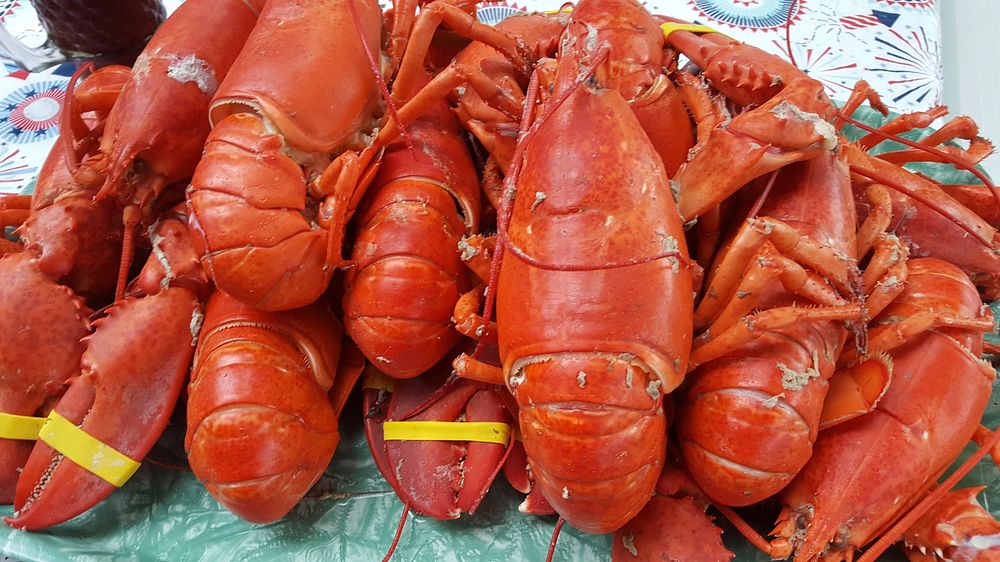 Lobster. Free public domain CC0 photo