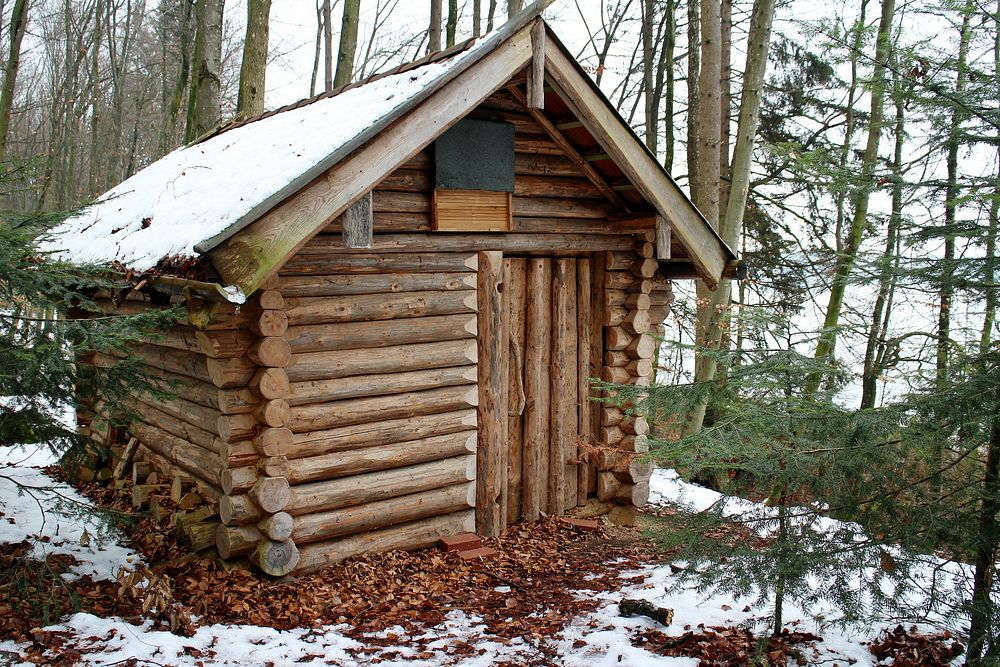 Hunting hut in forest during winter. Free public domain CC0 image.