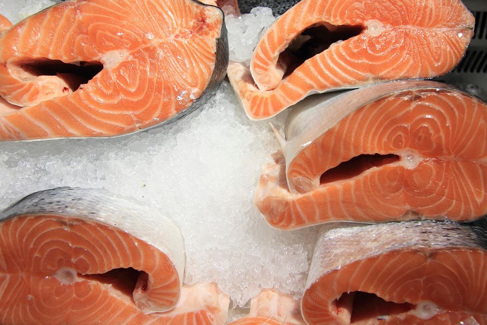 Salmon fish meat. Free public domain CC0 image
