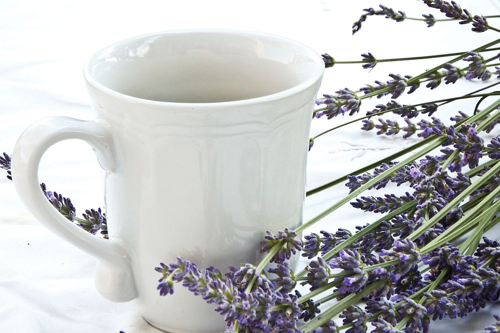Lavender tea. Free public domain CC0 image