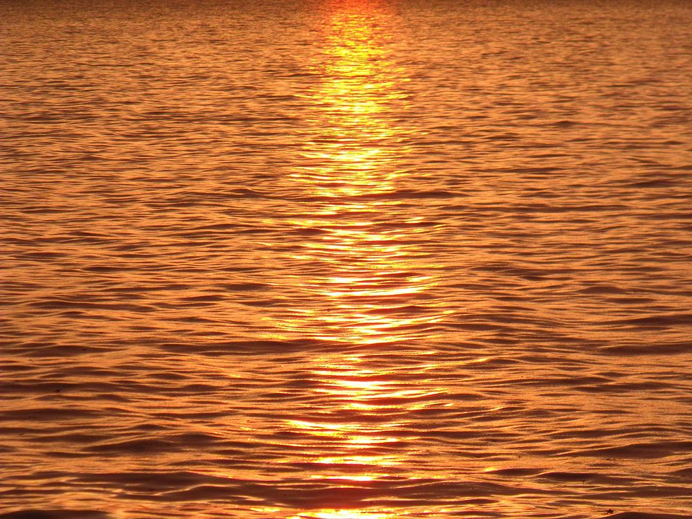 Sun ray reflection on water. Free public domain CC0 photo.