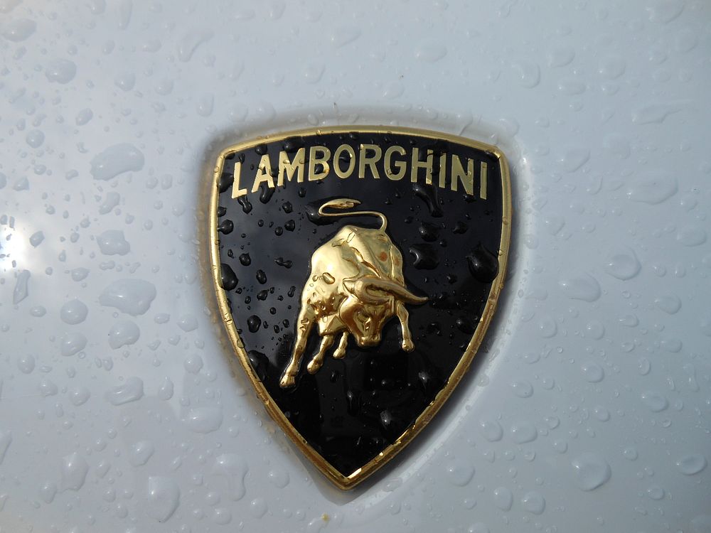 Lamborghini White Emblem. Location unknown - Dec. 22, 2015