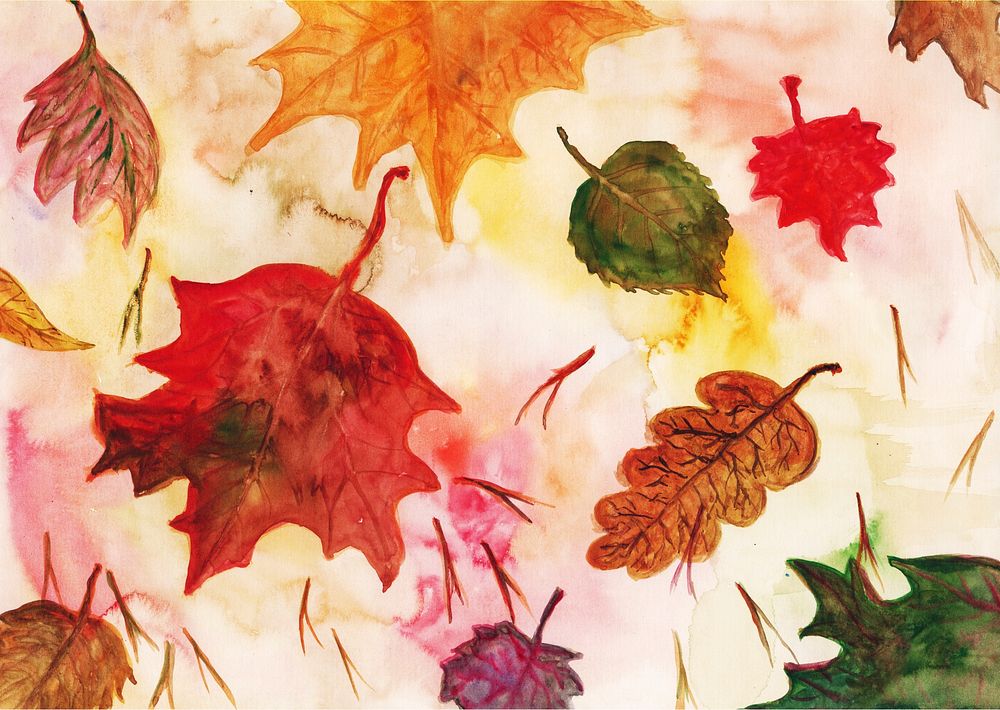 Maple leaf, Autumn seasonal background. Free public domain CC0 photo.