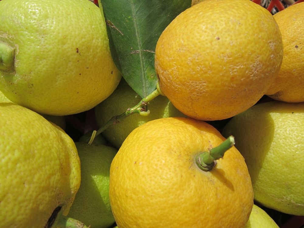Closeup on pile of yellow lemons. Free public domain CC0 image.