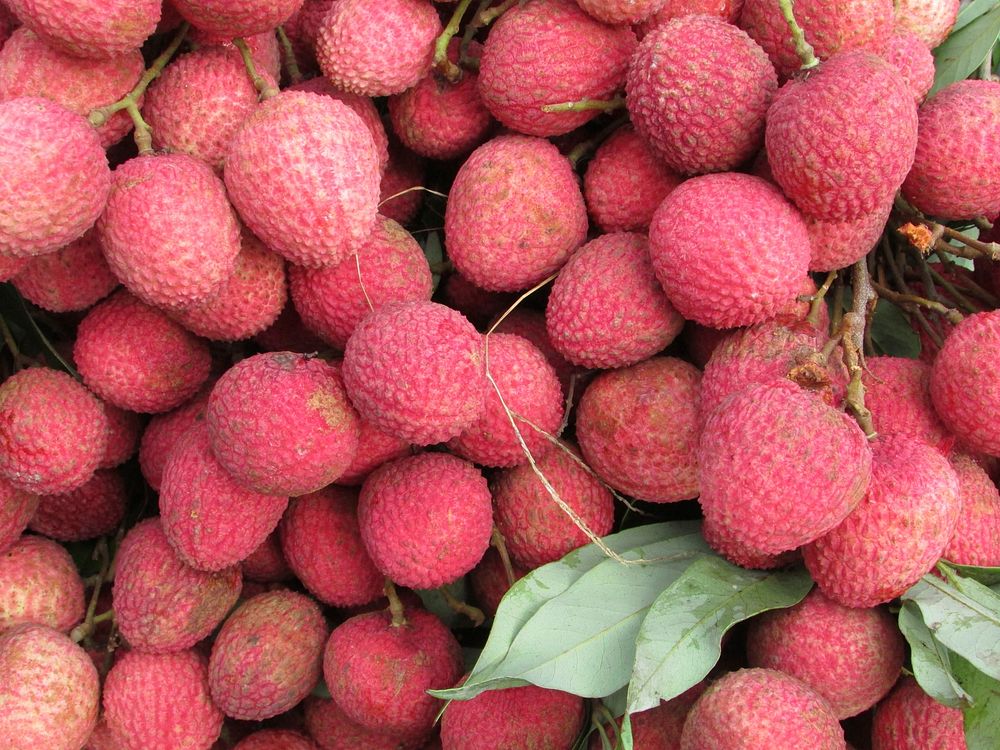 Closeup on pile of lychee fruit. Free public domain CC0 photo.