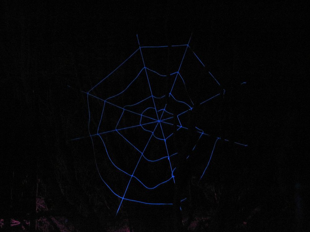 Blue spider web. Free public domain CC0 photo.