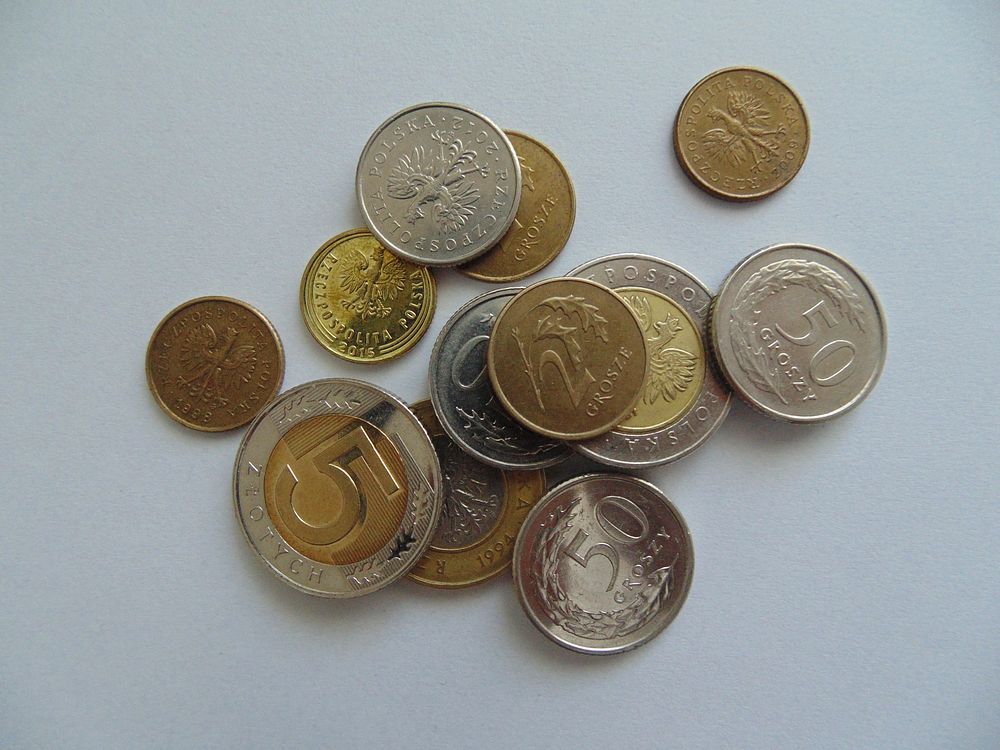 Polish złoty, money & banking. Free public domain CC0 image.