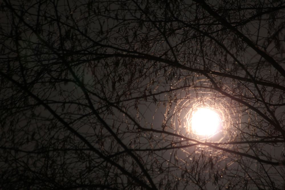 Night sky with a full moon. Free public domain CC0 image.