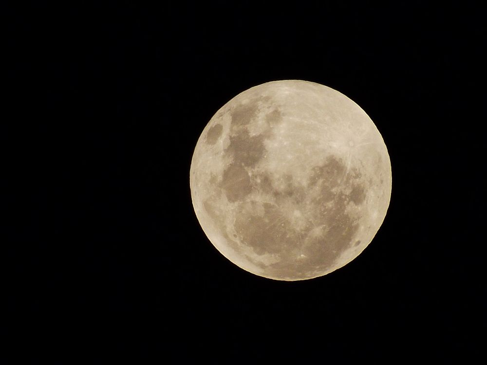 Full moon in dark sky. Free public domain CC0 photo.