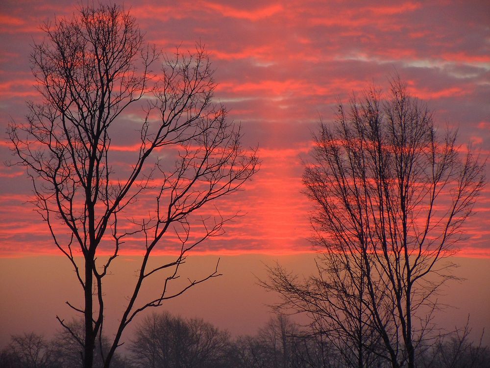 Beautiful sunset sky background. Free public domain CC0 photo.