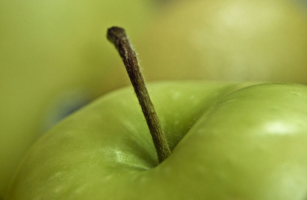 Closeup on green apple. Free public domain CC0 photo.