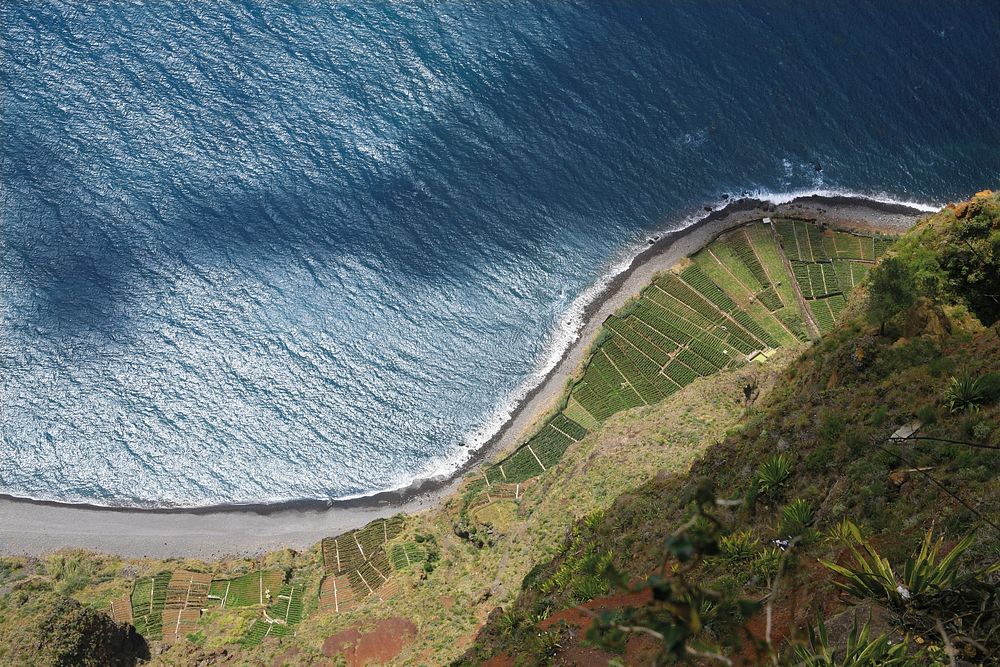 Madeira Portugal cliff sea. Free public domain CC0 photo.
