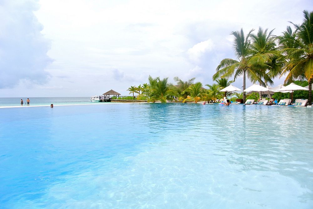 Maldives coconut tree resort pool. Free public domain CC0 photo.