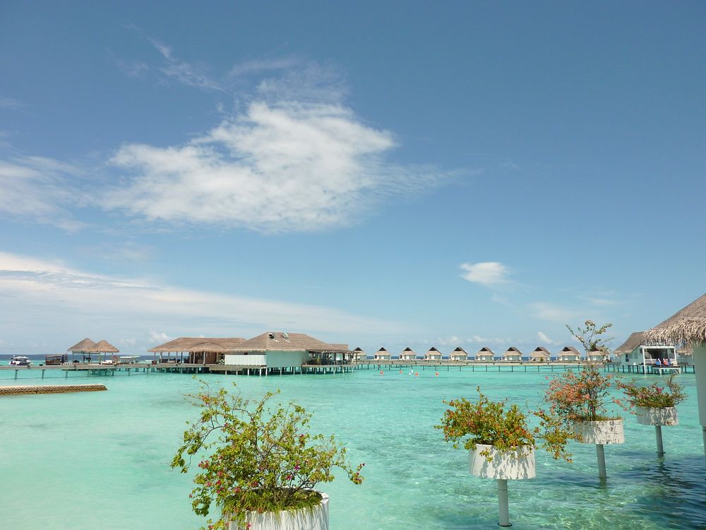 Beautiful resort in Maldives. Free public domain CC0 image.