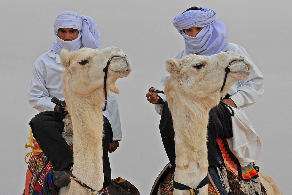 Bedouin men on white camels, Egypt - 1 October 2016