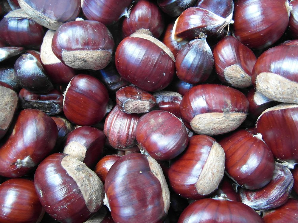 Sweet chestnuts background. Free public domain CC0 photo.