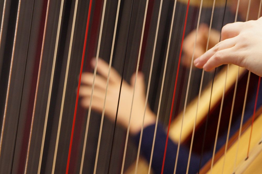 Harp, musical instrument. Free public domain CC0 photo.