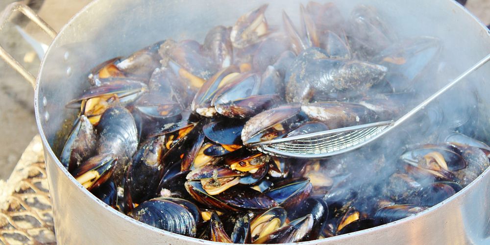 Cooked seafood. Free public domain CC0 image