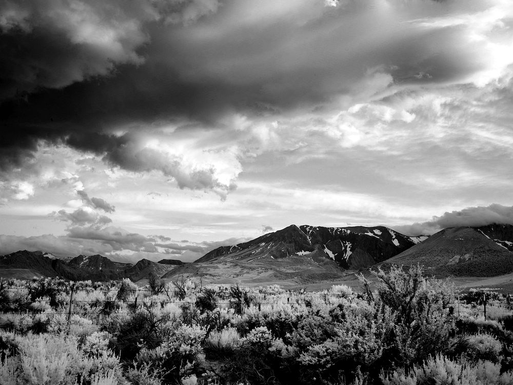 Yosemite USA in black and white. Free public domain CC0 image.