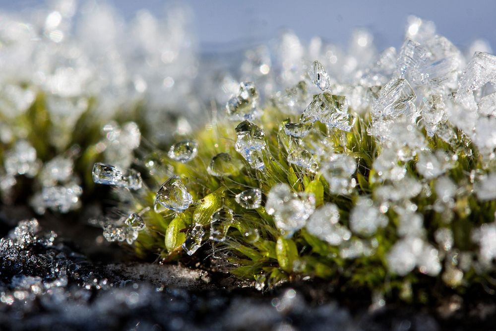 Water droplets on grass. Free public domain CC0 image.