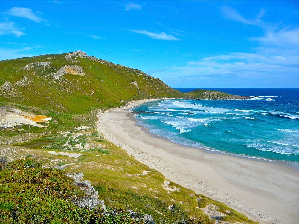 Beach in New Zeland scenery. Free public domain CC0 photo.