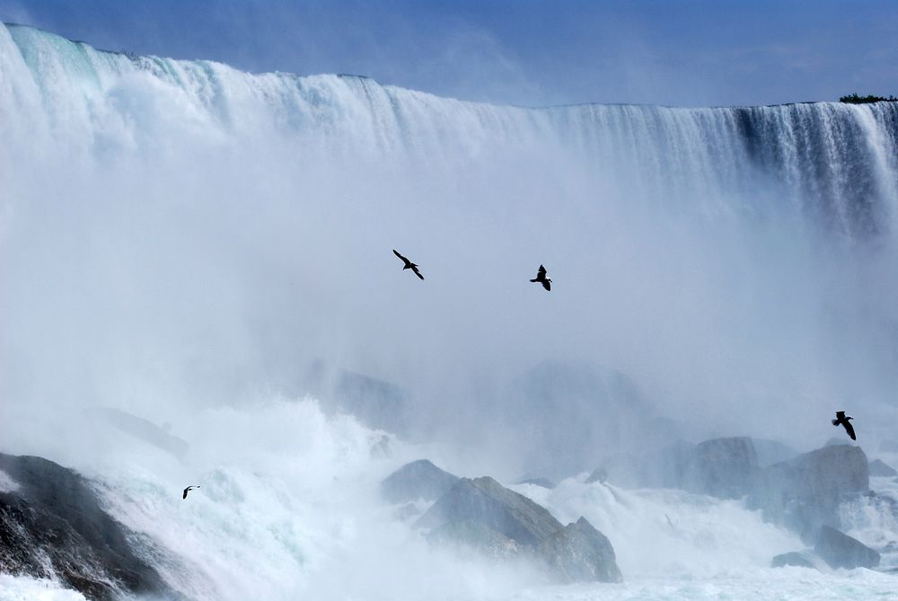 Birds flying across Niagara falls. Free public domain CC0 image.