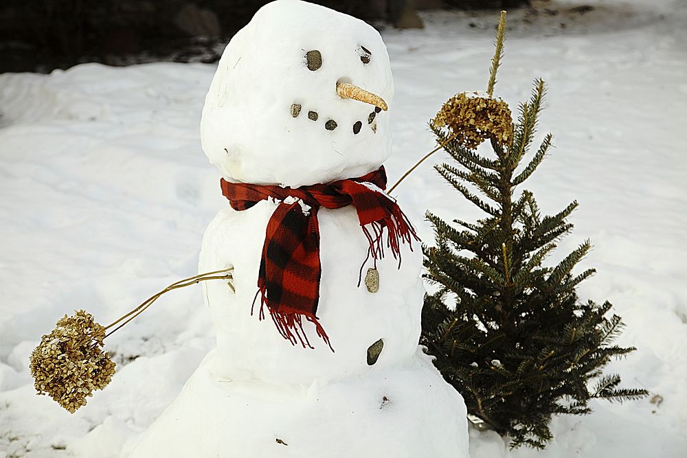 Funny snowman outside on winter day. Free public domain CC0 photo.