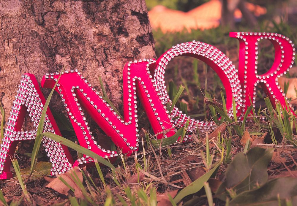 Pink Amor letters under tree. Free public domain CC0 photo.