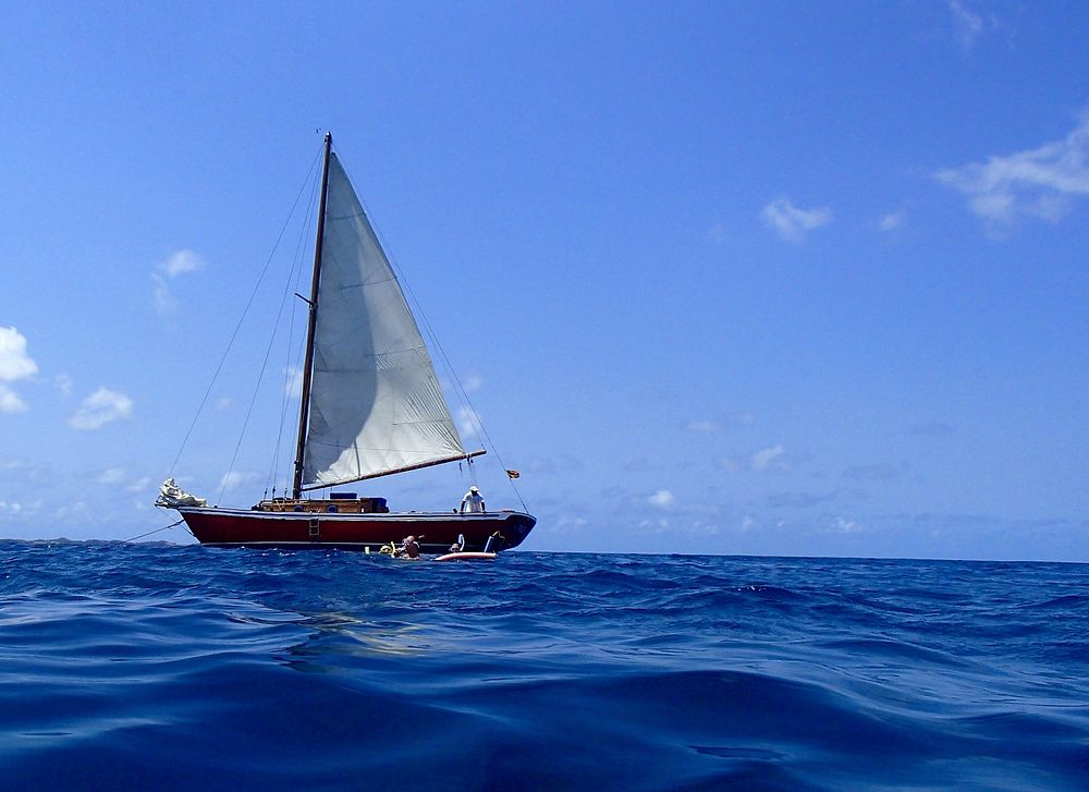 Sailboat. Free public domain CC0 photo. 