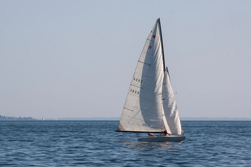 Sailing on laser class sailboat. Free public domain CC0 photo.