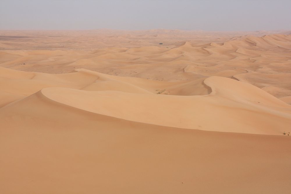 Desert landscape. Free public domain CC0 image