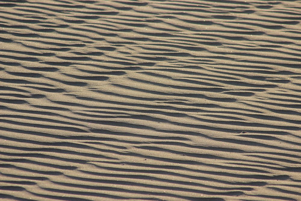Desert sand pattern. Free public domain CC0 photo.