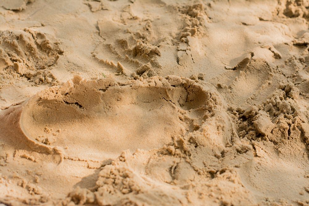 Beach sand photo. Free public domain CC0 image.